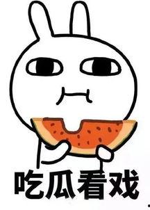 娱乐吃瓜酱offer